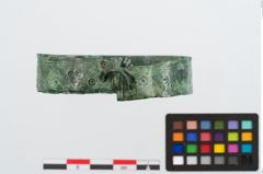 Foto von Bronzebandarmreif (NHMW-PRAE-024584)